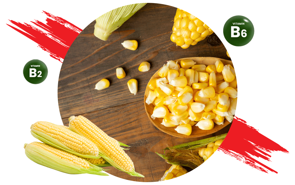 Fortification of Maize Flour | Maize Flour Premix | Hexagon Nutrition