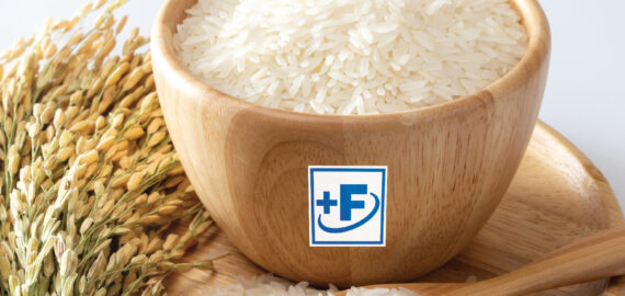 Rice fortification Rice fortification