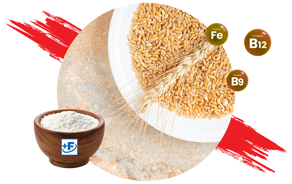 Micronutrient Staple Premix | Hexagon Nutrition