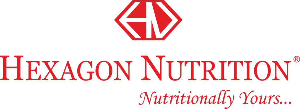 HEXAGON LOGO